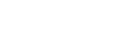 Palucraft Engineering Academy logo