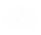 PPG Academy logo