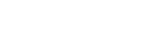 Ry Naylor Guitar logo