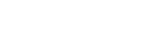 Baghi's School logo