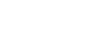 ECEX | eCommerce & Business logo