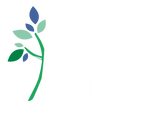 Academia ICM logo