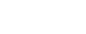 Academia Klever logo