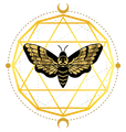 The Anam Cara Academy  logo
