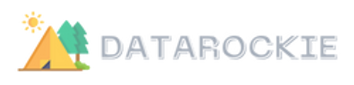 DataRockie School logo