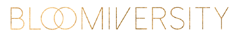 Bloomiversity logo