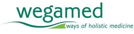 Wegamed Academy logo
