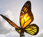 Exploring Grief with Patti logo