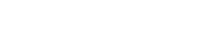 Cursos EvoAcademy logo