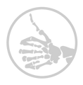 PA Excel ONLINE logo