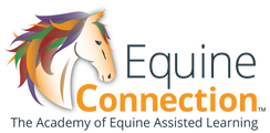 Equine Connection - The Academy of Equine Assisted Learning Inc. logo