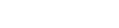 WARRIOR OF THE MIND logo