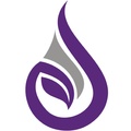 Essentially His Wisdom logo