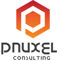 Pnuxel Academy logo