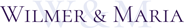 Wilmer y Maria Dance Academy logo