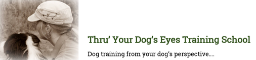 Thru Your Dog's Eyes Training School logo