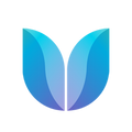 Successvalley Academy logo