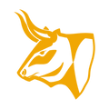 BULLFx Forex Trading Course logo