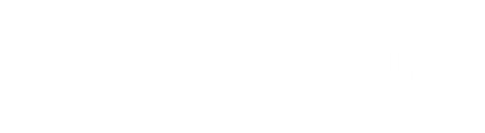 Vision Group logo