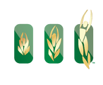 The JOY Institute logo