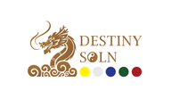 DestinySoln Academy logo