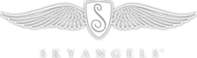 SkyAngels SKYacademy logo