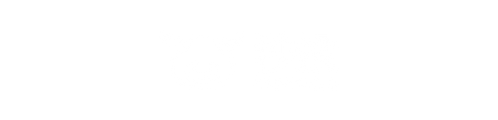 秒投StockViva logo