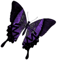 Michelle Meleo Online logo