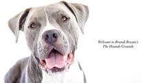 The Hounds Grounds by Brandi Bryant logo