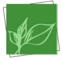 Natural Living Bootcamp logo