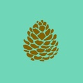 Adirondack Girl @ Heart Academy logo