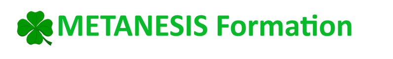 METANESIS Académie logo
