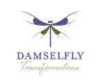 Damselfly Transformations Academy logo