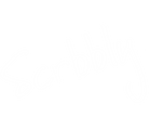 Scrbbly logo