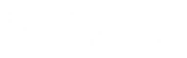 Dynamic Foundations Institute logo