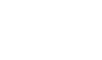 Lezioni di Danza con Lea Ballerina logo