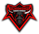 Position Traders Academy logo