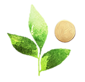CreativeArtsTherapiesOnline.com logo