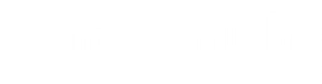 MoreNiche Academy logo