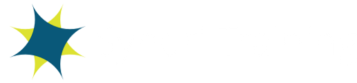 Syndri Training logo