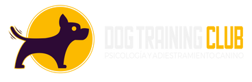 Dog Training Club - Online Academy logo