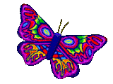 The Chrysalis Teachings logo