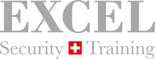 Excel Security Training logo