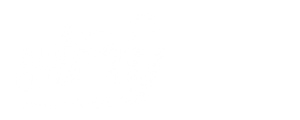 Story Team Academy logo