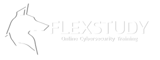 Flex Study logo