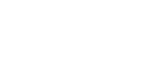 Democracy at Work Institute Courses logo