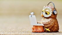 Owlet Learning  logo