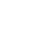VuLingo logo