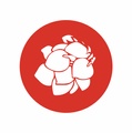 ColorCeibo logo