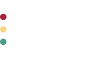 The Naima Co logo